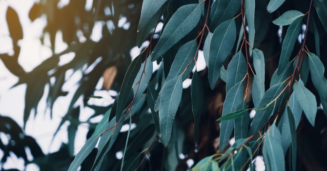 Now Accepting New Clients image